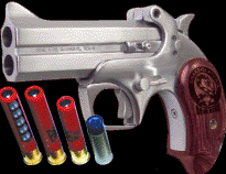 photo of Snake Slayer with bullets